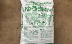 久しぶりの育苗、秋冬野菜の播種スタート