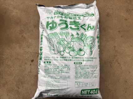 久しぶりの育苗、秋冬野菜の播種スタート