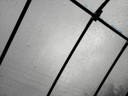 台風接近、畑を確認して晴れの日に備える